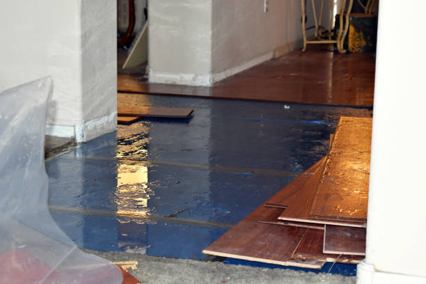 Professional Sewage Cleanup technician working in Manitou Beach, MI